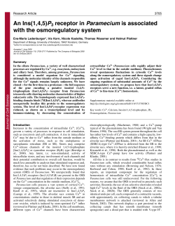 An Ins(1,4,5)P3 receptor in Paramecium is