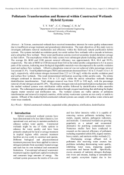 as a PDF