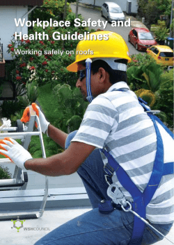 Guidelines for Working Safely on Roofs