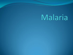 Malaria