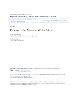 Parasites of the American White Pelican