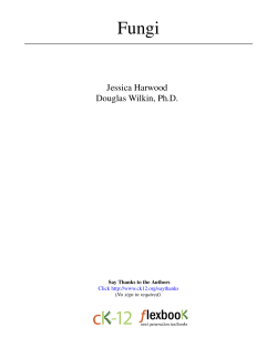 Jessica Harwood Douglas Wilkin, Ph.D.