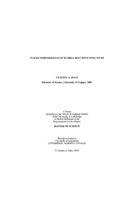 FLIGHT PERFORMANCE OF BUMBLE BEES WITH WING WEAR