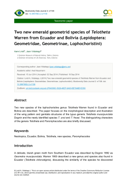 Two new emerald geometrid species of Telotheta Warren from