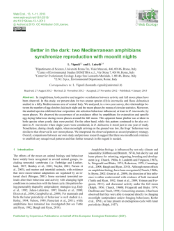 Better in the dark: two Mediterranean amphibians synchronize