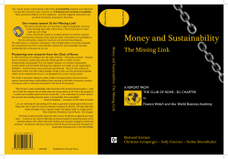 Money and Sustainability