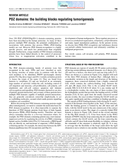 PDZ domains: the building blocks regulating tumorigenesis