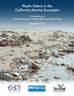 Plastic Debris in the California Marine Ecosystem