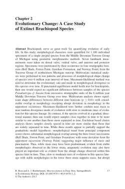 Evolutionary Change: A Case Study of Extinct Brachiopod Species