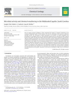 Microbial activity and chemical weathering in the Middendorf aquifer