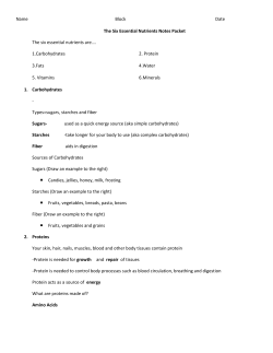 Name Block Date The Six Essential Nutrients Notes Packet The six