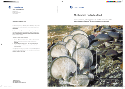 Mushrooms traded as food
