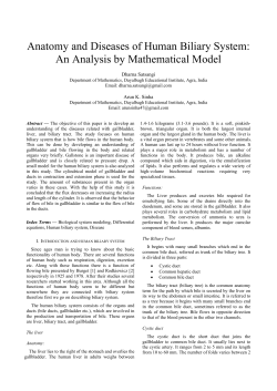 Anatomy and Diseases of Human Biliary System: An Analysis by