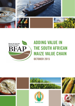 adding value in the south african maize value chain