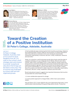 Toward the Creation of a Positive Institution
