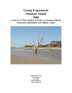 A Survey of Three Bodies of Water on Ossabaw Island