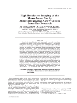 High Resolution Imaging of the Mouse Inner Ear by