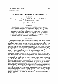 The Nucleic Acid Composition of Bacteriophage q!i R
