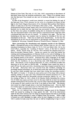 Concerning the Thundering and Clapping Sounds of the Chimney