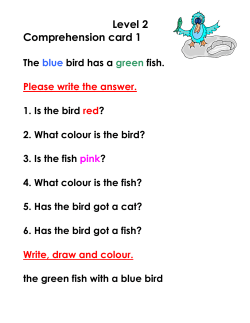 Level 2 - Joli Reading Program