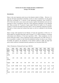 NOTES ON STAPLE FOOD (MAIZE) COMPONENT George T