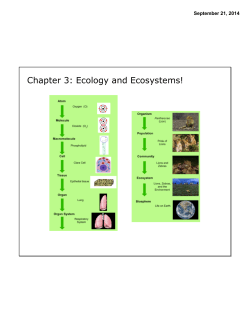 Chapter 3: Ecology and Ecosystems!
