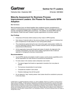 Maturity Assessment for Business Process Improvement Leaders
