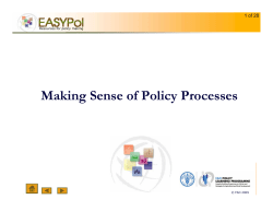 Making Sense of Policy Processes