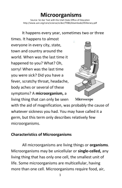 Microorganisms - davis.k12.ut.us