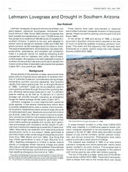 Lehmann Lovegrass and Drought in Southern Arizona