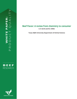 Beef Flavor: A review from chemistry to consumer