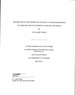 Integration of the Modern and the Maya: The Mayan Response to