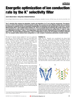 11689935 - the spanish ion channel initiative