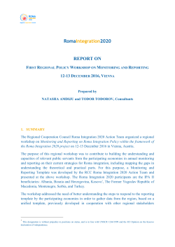 Expert Report - Regional Cooperation Council