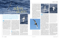 ON The - Percy FitzPatrick Institute of African Ornithology