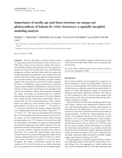 Importance of needle age and shoot structure on