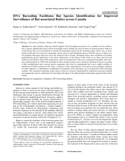 DNA Barcoding Facilitates Bat Species