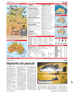 Elephants eat peanuts