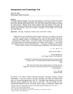 Autopoiesis and Cummings` Cat