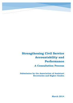 Strengthening Civil Service Accountability and Performance