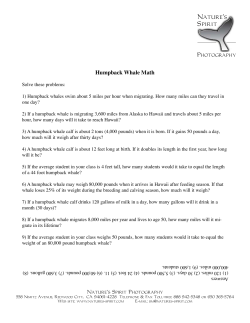 Humpback Whale Math - Nature`s Spirit Photography