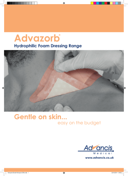 Advazorb&reg; Border and Advazorb&reg; Silfix Brochure