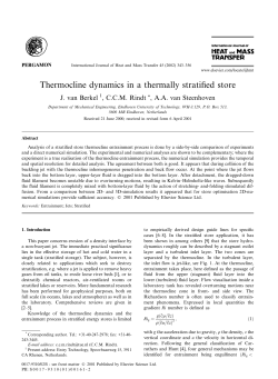 Thermocline dynamics in a thermally stratified store