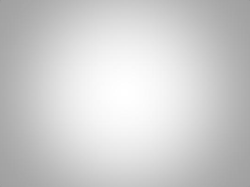 MENTORING WHAT IS IT, WHAT IT ISN`T AND HOW CAN IT WORK