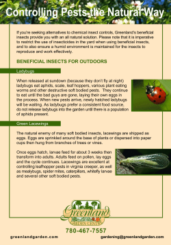 Controlling Pests the Natural Way