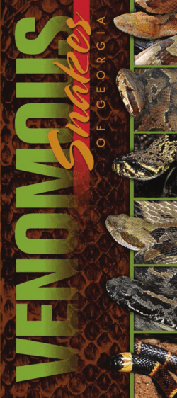 Venomous Snakes of Georgia - Wildlife Resources Division