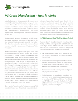 PG Grass Disenfectant – How it Works