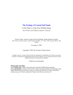 The Ecology of Coastal Salt Ponds - Trustees