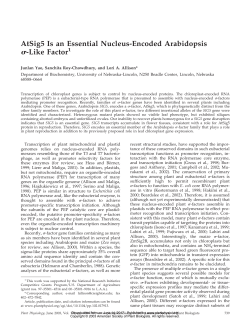 AtSig5 Is an Essential Nucleus-Encoded