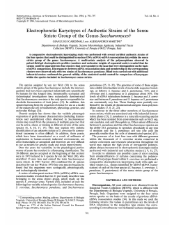 Electrophoretic Karyotypes of Authentic Strains of the Sensu Strict0